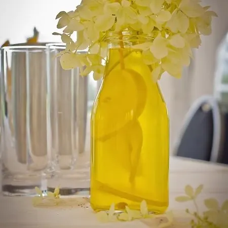 Moellhagen ホテル 3*